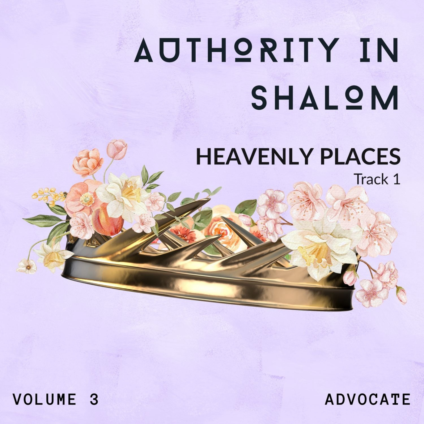 Atmospheres of Shalom: Vol. 3 – Authority in Shalom - Track 1: Heavenly Places podcast artwork