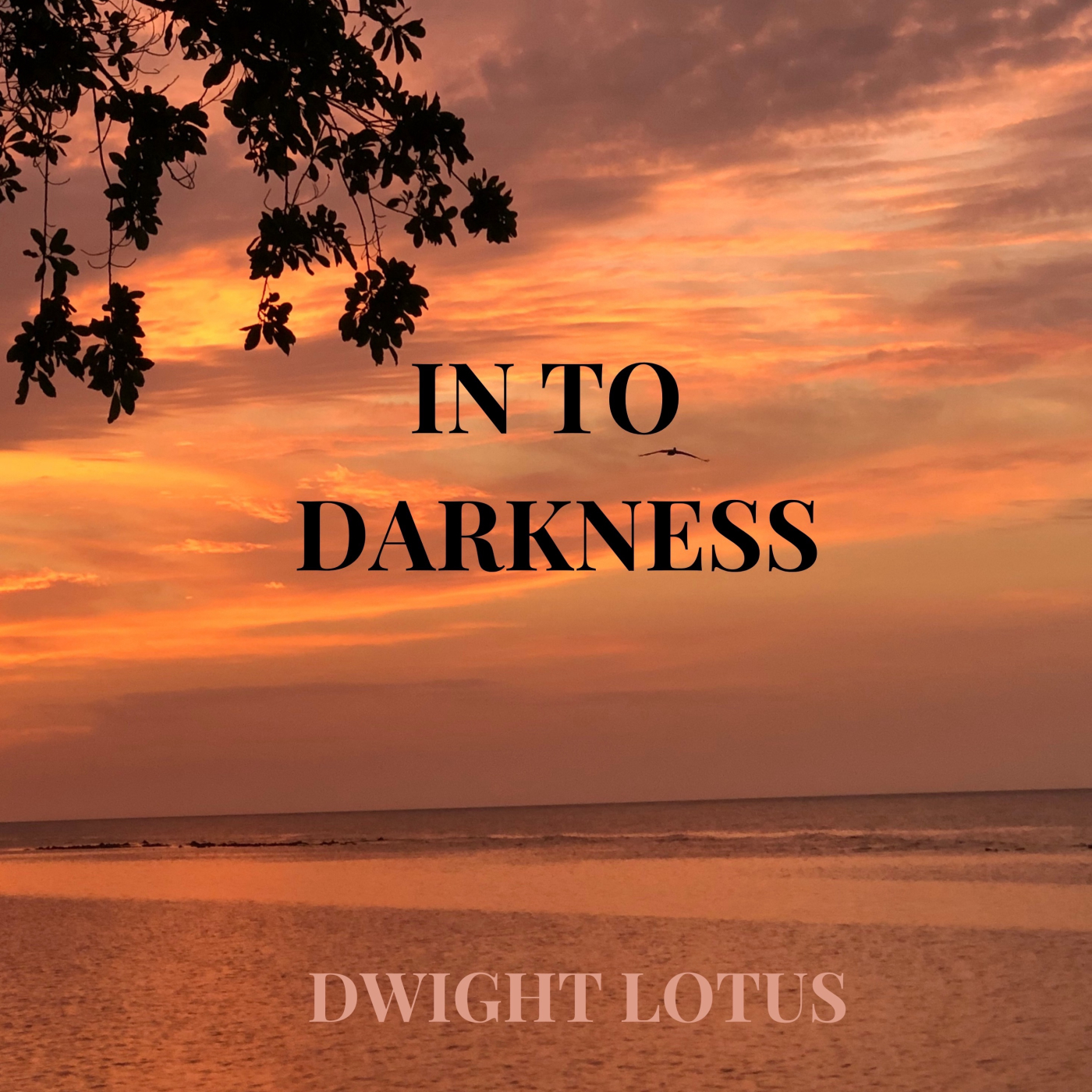 INTO DARKNESS