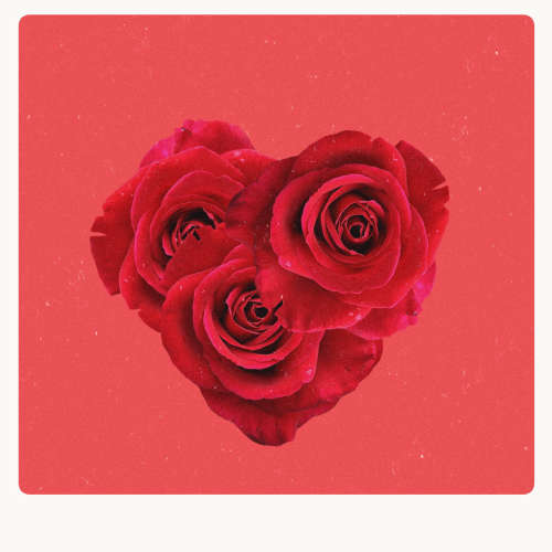 Deadroses podcast artwork