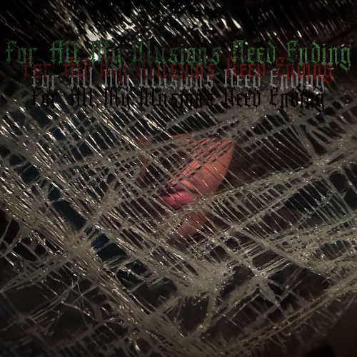 For All My Illusions Need Ending