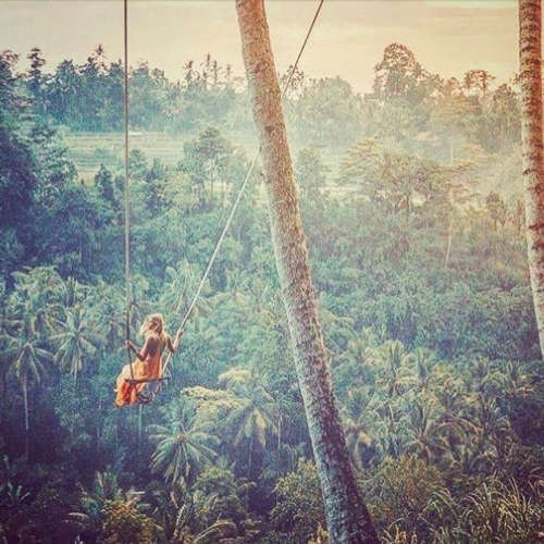 Back Flip