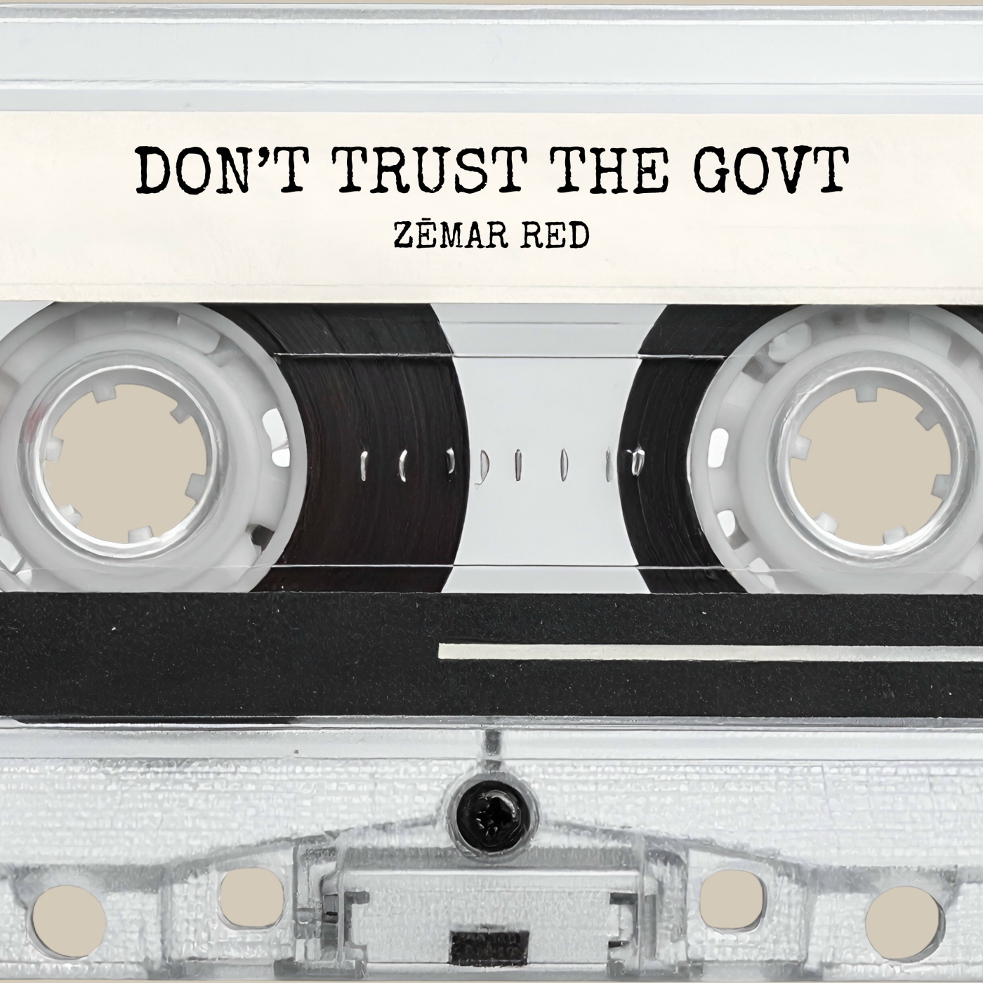 Don't Trust The Govt podcast artwork