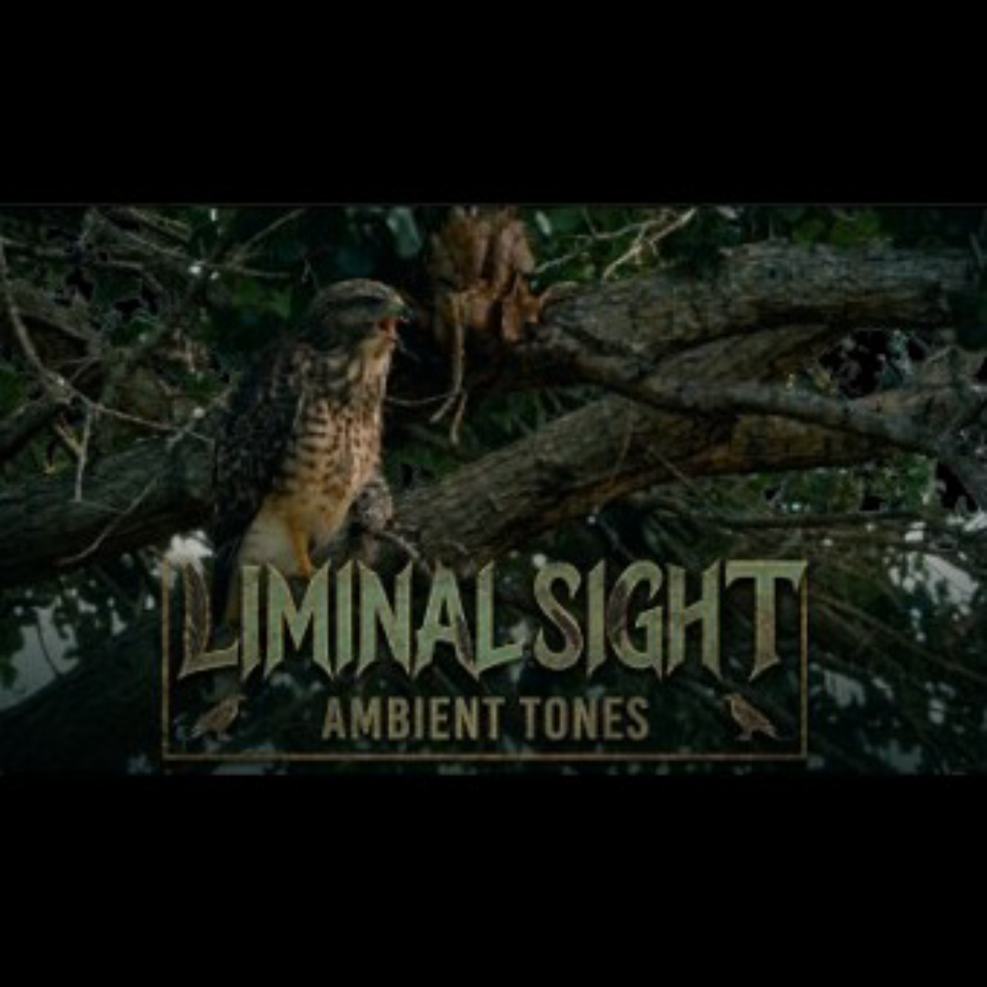 Liminal Sight