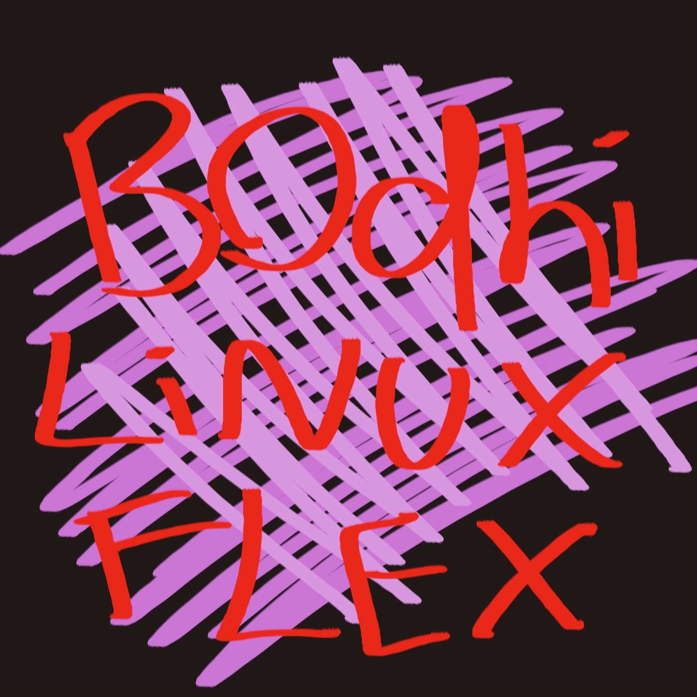 Bitches Bodhi Linux flex