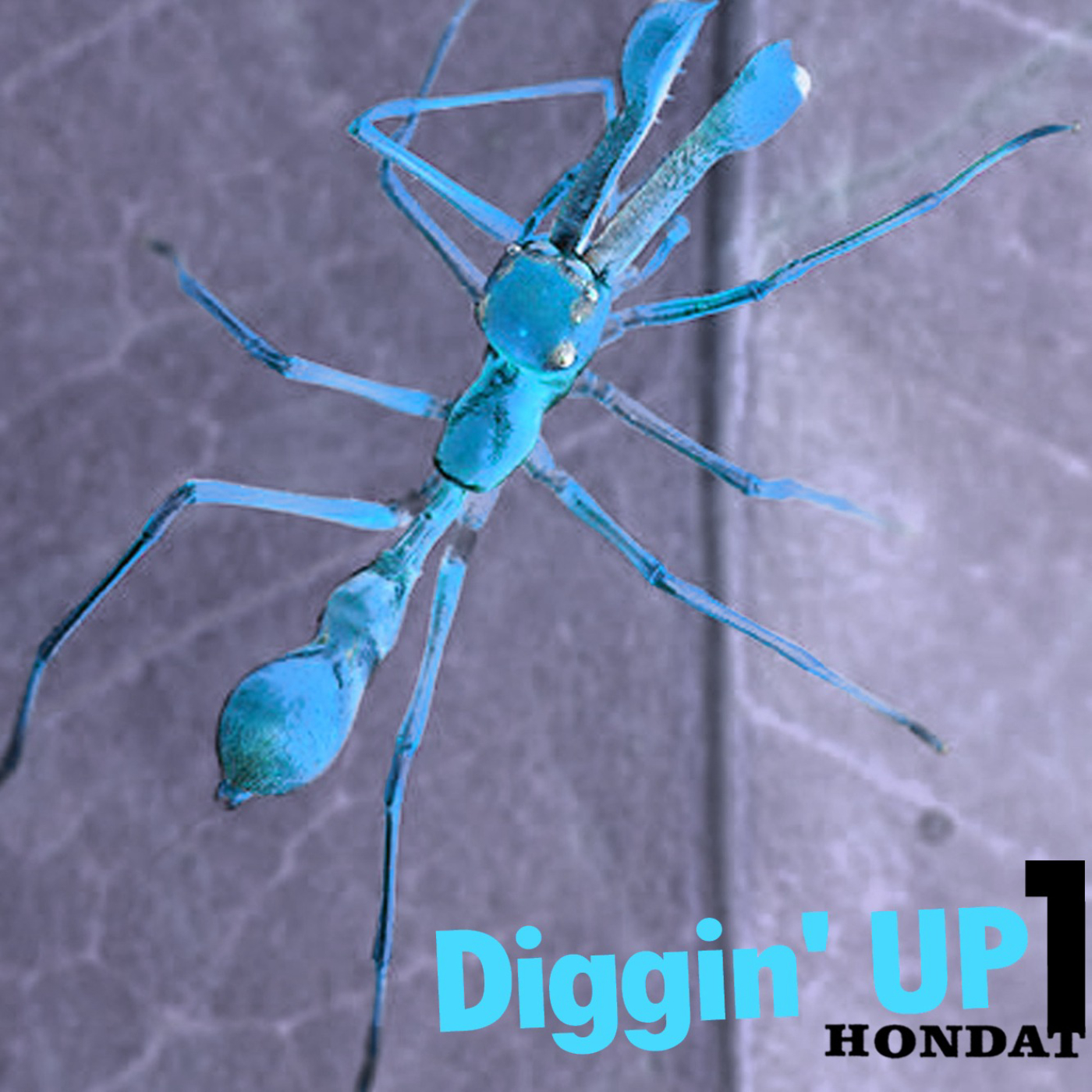 Jet Honda -- logy urv digginUP podcast artwork