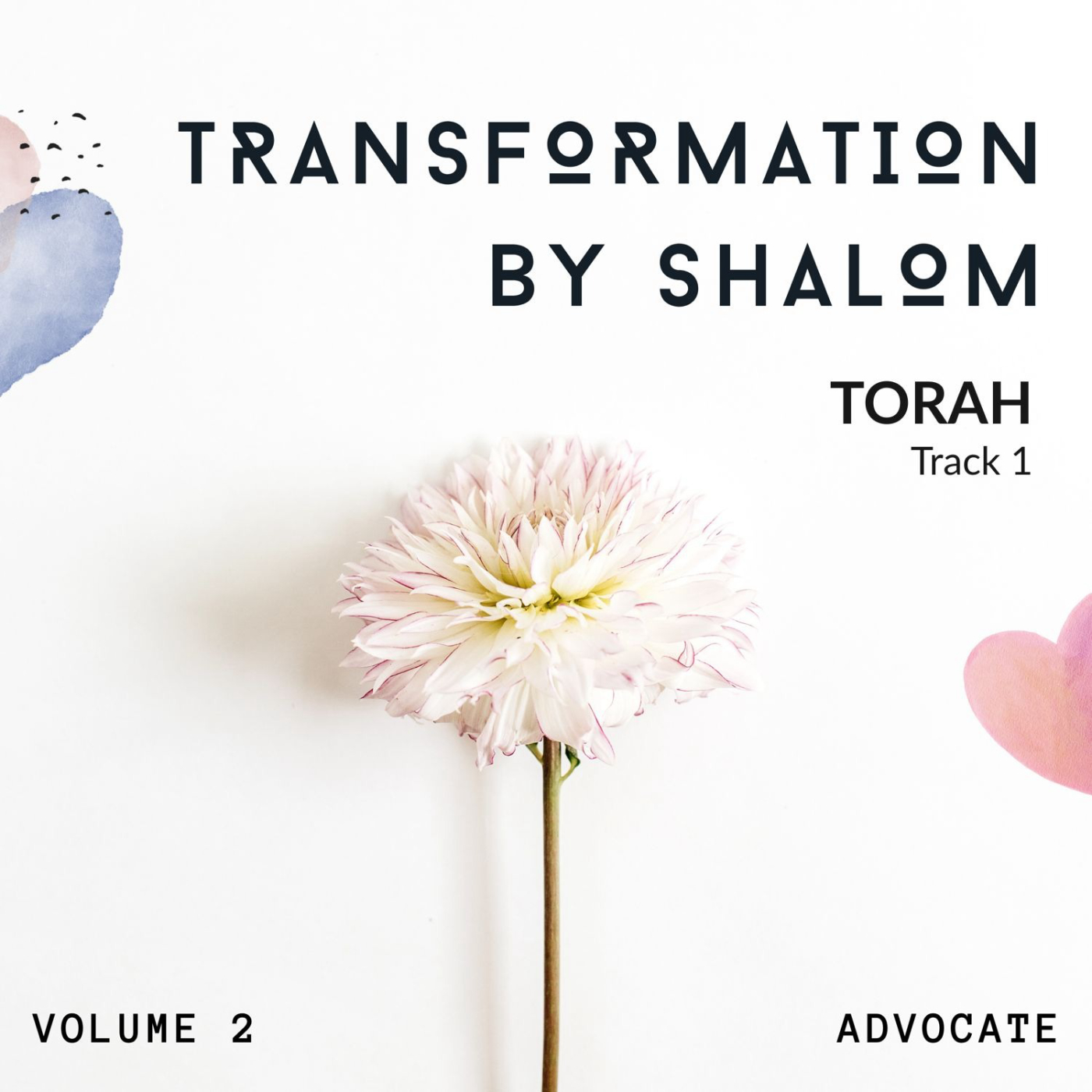 Atmospheres of Shalom: Vol. 2 – Transformation by Shalom - Track 1: Torah