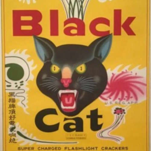 Black Cat