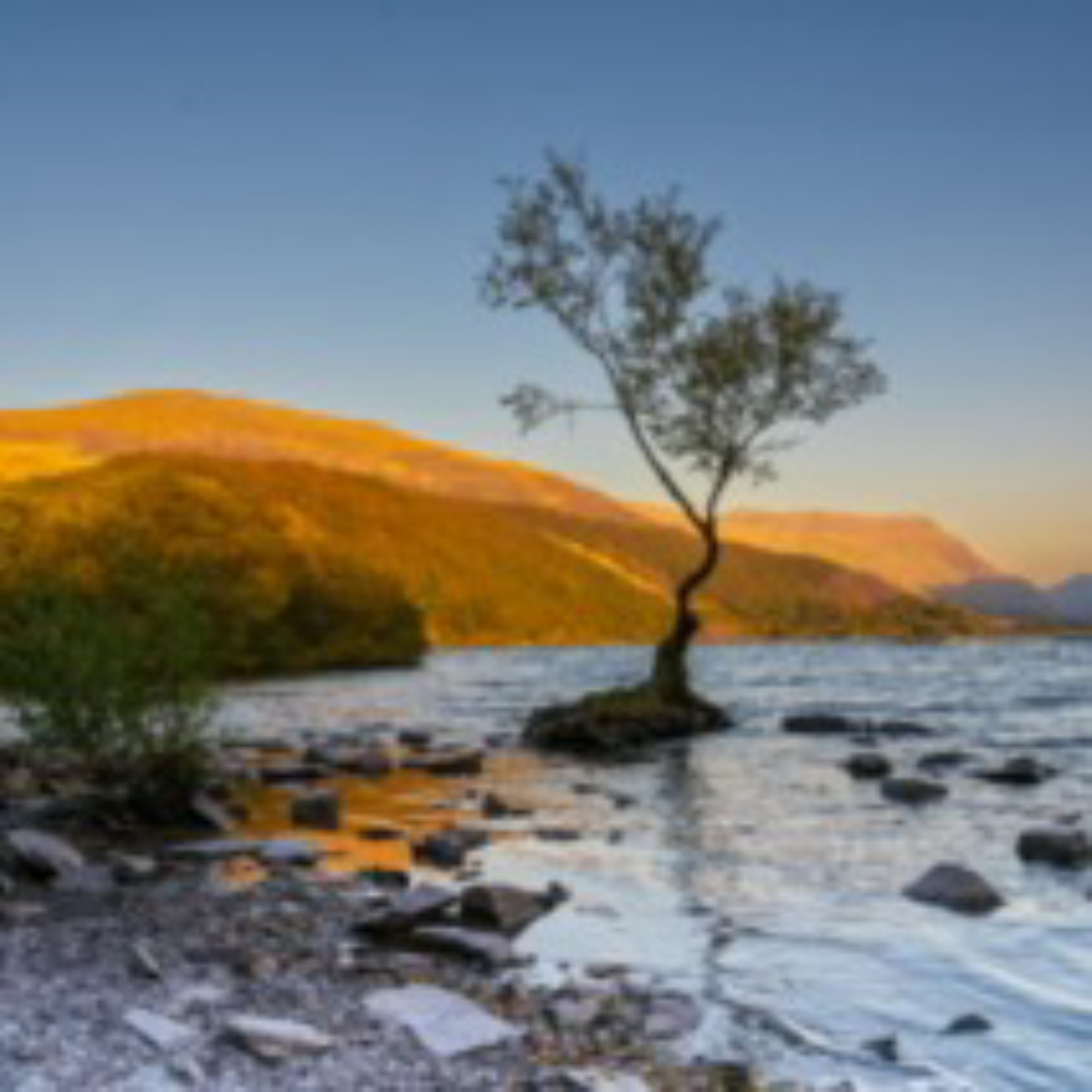 Sonic log 09-10-24 image