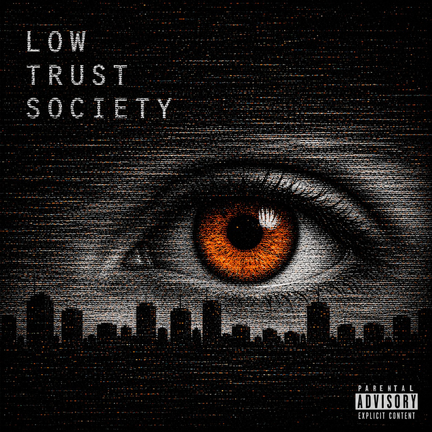Low Trust Society