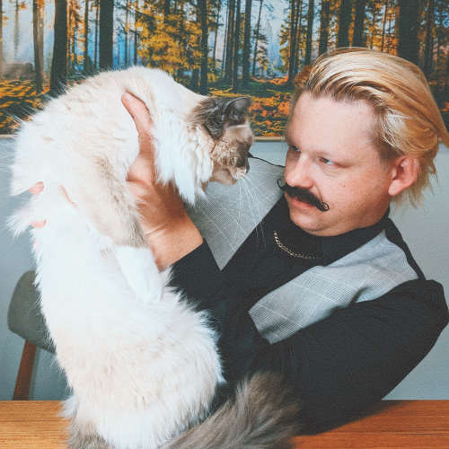 Lady With a House Cat image